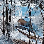 Casa Pinocchio *