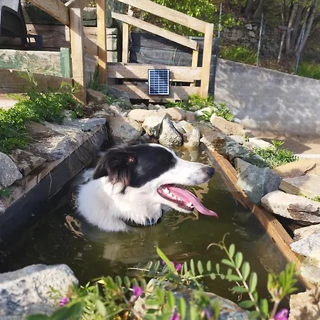 Domek alpejski Casa Pinocchio Viù