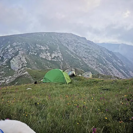 Domek alpejski Casa Pinocchio *