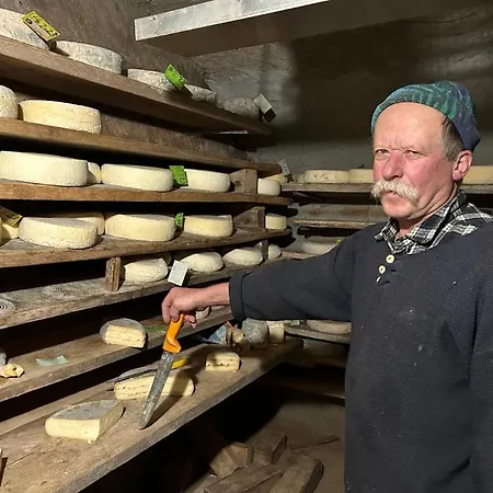 Casa Pinocchio Alpesi faház Viù