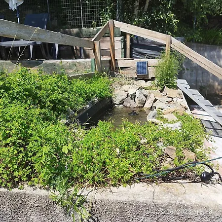 Casa Pinocchio Alpesi faház